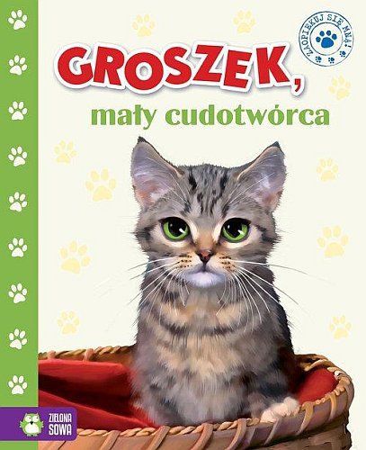 Siostry Ola i Zuzia kochają koty chyba od zawsze. Ich pokój wygląda jak gabinet kocich osobliwości: na łóżkach narzuty i poduszki w koty, na ścianach zdjęcia kotów, na półkach kubeczki w duże koty i małe kocięta, nie mówiąc o niezliczonych kocich pluszakach. Niestety, mama dziewczynek nie chce mieć w domu prawdziwego kota. Pewnego razu, kiedy Zuzia wraca ze szkoły, ulega wypadkowi. Od tego czasu jest smutna, zamyślona i często płacze. Niespodziewanie na balkonie u dziewczynek pojawia się mały, bezdomny kociak. Ciągle do tej pory smutna Zuzia, znowu zaczyna się uśmiechać. Czy mały Groszek okaże się cudotwórcą i uleczy Zuzię ze smutku? Jak zareaguje mama na wiadomość, że na nich na balkonie mieszka bezdomny kot?