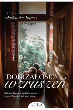 W życiu po każdej zawierusze przychodzi czas spokoju – cierpienie i szczęście naturalnie się równoważą… Czy na tym właśnie polega dojrzałość wzruszeń? Marcin, młody psycholog, poznaje fascynującą Mirandę. Dla dziewczyny gotów jest przenieść się na drugi koniec Polski i zacząć nowe życie. Wraz z ukochaną wynajmuje restaurację na owianym złą sławą wzgórzu w Złychwidokach.

Gdy babcia Marcina, która wychowywała go od małego, umiera, chłopak zaczyna stopniowo odkrywać tragiczną tajemnicę związaną ze swoim pochodzeniem. Kim byli rodzice bohatera? Co skrywała przed nim przez lata babcia Zofia? Pytania mnożą się, tymczasem Marcin otrzymuje kolejny cios od losu… Czy uda mu się podźwignąć?