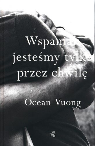 Wspaniali jesteśmy tylko przez chwilę” to list syna do matki, która nie umie czytać. Bohater odkrywa historię rodziny, której najważniejsze wydarzenia rozgrywały się w Wietnamie. Historia ta zaś jest niczym drzwi wiodące do tych sfer życia autora listu, których jego matka nigdy nie znała. Powieść Oceana Vounga to świadectwo zaciekłej, lecz niezaprzeczalnej miłości samotnej matki i jej syna, a zarazem brutalnie szczera opowieść o odkrywaniu męskości i przynależności do rasy oraz klasy.

„Wspaniali jesteśmy tylko przez chwilę” to książka zarówno o mocy opowiadania własnej historii, jak i o utracie ciszy, której nie można usłyszeć.