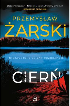 Traumatyczne wydarzenia z dzieciństwa nie pozwalają o sobie zapomnieć, okoliczności śmierci matki wciąż prześladują komisarza. Śledczy odkrywa, że może mieć ona związek z prowadzoną przez niego sprawą.

25 lat temu Robert Kreft stracił matkę, która z niejasnych powodów popełniła samobójstwo. Jej czyn odcisnął piętno na 10-letnim chłopcu, wbity w jego serce cierń towarzyszył mu przez kolejne dekady. Stał się przyczyną obsesji i nieustannych poszukiwań odpowiedzi na pytanie: dlaczego?