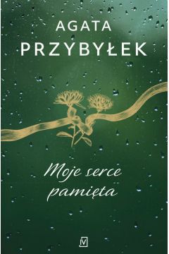 Książka wydana w serii Wielkie Litery – w specjalnym formacie z dużą czcionką dla seniorów i osób słabowidzących.

Czy jesteś gotowa na opowieść pełną niewyjaśnionych spraw, trudnych decyzji i zaskakujących rozwiązań?

Michał Piotrowski to znudzony mężczyzna, który dotąd żył na garnuszku rodziców, a kobiety traktował raczej przedmiotowo. Pracuje w biurze detektywistycznym Kamieńskich, ale nie wykazuje inicjatywy. Dobra zabawa jest dla niego ważniejsza. To wszystko do czasu, gdy zostaje wysłany do niewielkiej miejscowości w Zachodniopomorskiem. Ma udowodnić niewinność mężczyzny oskarżonego o morderstwo.

Początkowo detektyw podchodzi do sprawy niechętnie, ale z czasem coraz bardziej się w nią angażuje. Nie bez znaczenia jest tu znajomość z Igą, nieprzychylną mu panią sierżant.