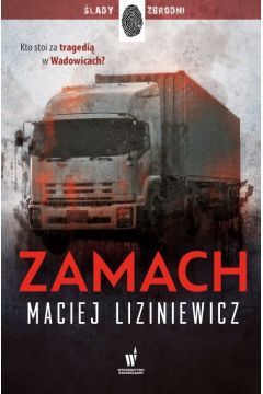 Zamachy terrorystyczne zawsze przynoszą wiele strachu i obaw, ale często wiążą się też z dużą liczbą ofiar. W pewne grudniowe przedpołudnie na wadowickim rynku zostało zabitych aż 13 osób, choć mogłoby być ich o wiele więcej, gdyby nie pomoc przypadkowego bohatera. Mimo to zginęły niewinne osoby, a to sprawia, że trzeba rozwikłać zagadkę - kto spowodował Zamach i jakie ma dalsze zamiary?

Śledczy zajmujący się tą sprawą doskonale zdają sobie sprawę, że nie mogą już zmienić przeszłości i przywrócić życia tym, których nie ma. Mogą jednak znaleźć sprawców tej tragedii i pozwolić na ich osąd oraz skazanie. Ich najważniejszym zadaniem jest zapobiegnięcie kolejnemu możliwemu zamachowi, gdyż nigdy nie wiadomo, czy był to tylko jednorazowy incydent.

Książka ta zawiera historię pokazaną z wielu perspektyw, co pozwala na lepsze zrozumienie problemu, z którym spotkali się bohaterowie. Niestety, komplikacje się nie kończą, gdy w grę wchodzi polityka i walka o władzę. Tutaj nie ma znaczenia życie osób - jest to po prostu nieludzki wyścig szczurów, który nie sprzyja śledztwu, a nawet naraża je na niepowodzenie.