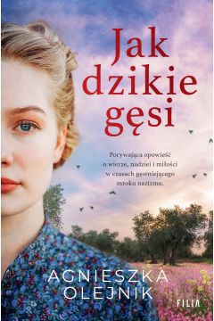 Wiosna 1938 roku. Na Dolnych Łużycach gęstnieje mrok nazizmu. Pochodząca z polsko-niemieckiej rodziny Katrin czuje się coraz mniej bezpieczna w świecie, gdzie jeden donos może zniszczyć człowiekowi życie. Wystarczy żart z Führera albo nie dość entuzjastycznie oddany salut. Rudolf Hertz, ambitny członek Hitlerjugend, rzadko myśli o miłości. Jego marzenia i plany koncentrują się wokół kariery i służby dla Rzeszy. Jest tylko jedna dziewczyna, która wzbudza jego zainteresowanie – jasnowłosa Katrin. Pewnego dnia między tymi dwojgiem stanie chłopak o szarych oczach i niesfornej czuprynie.